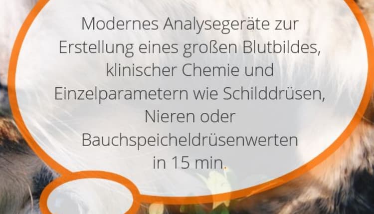 Vorschau von Kleintierpraxis Döhren