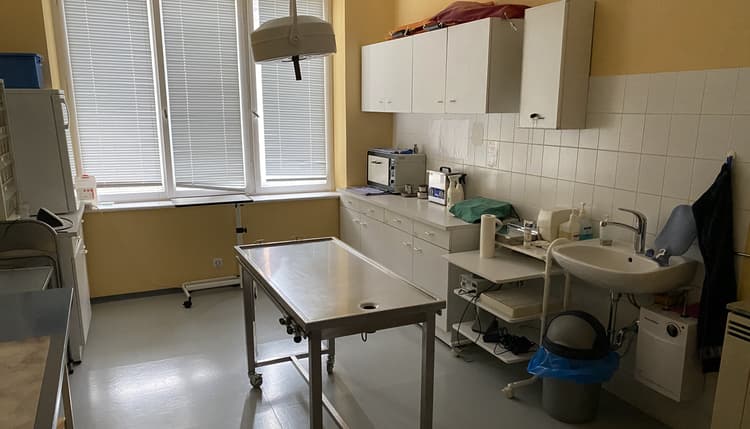 Vorschau von Janowski-Gastl Stephanie Dr.med.vet. Tierarzt