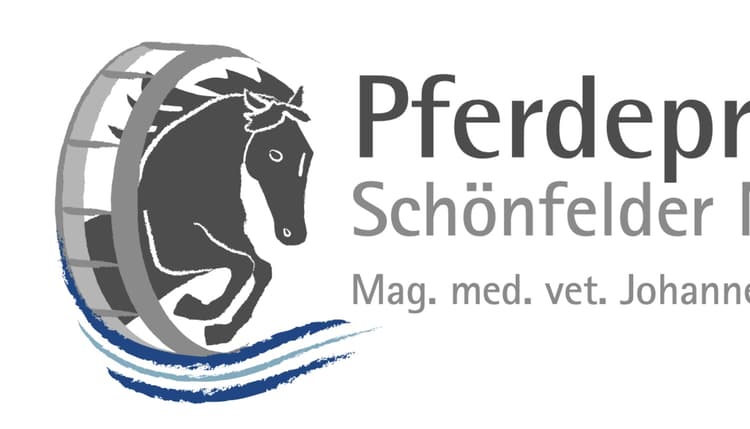 Preview of Pferdepraxis Schönfelder Mühle