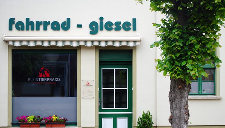 Vorschau von Jana Giesel