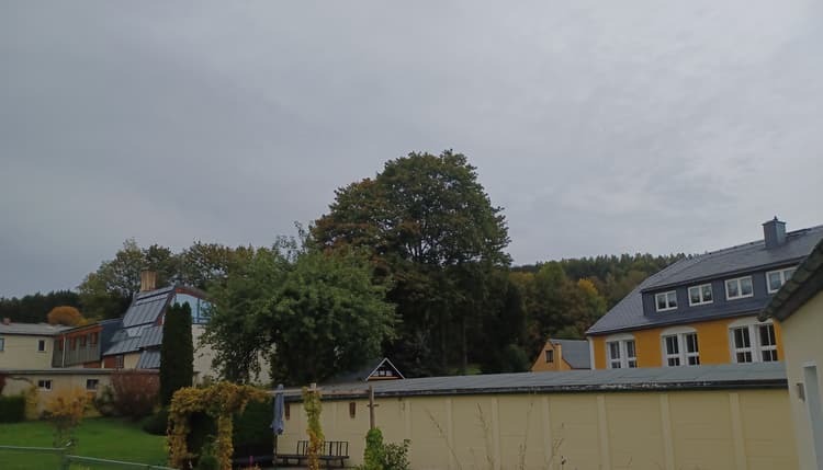 Vorschau von Tierarztpraxis Torsten Lindner