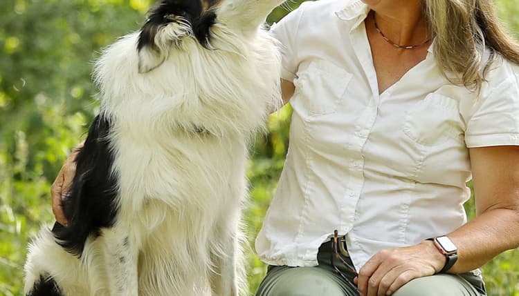 Vorschau von Tierarztpraxis Dr. Viola Hebeler Fachtierärztin für Pferde / Sportmedizin Hund