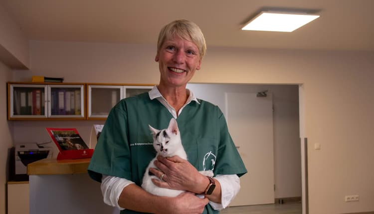Vorschau von Kleintierpraxis Emmerthal – Dr. med. vet. Petra Kopperschmidt