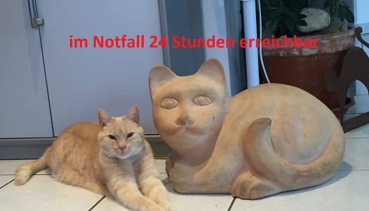 Vorschau von Dr. Joachim Pichler Praktischer Tierarzt