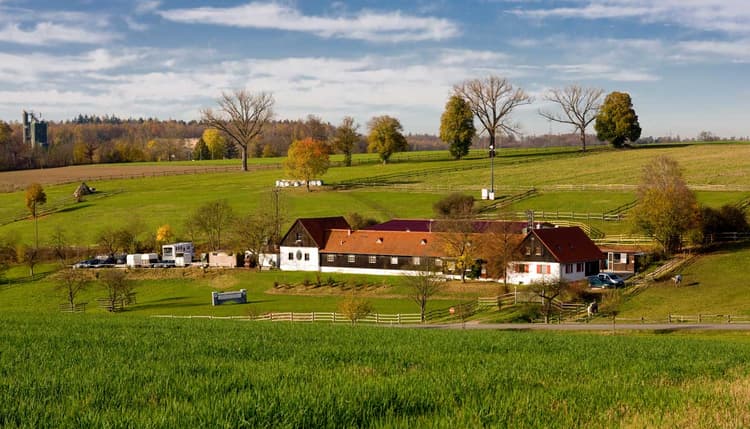 Vorschau von Tierärztliches Zentrum für Pferde in Kirchheim Altano GmbH