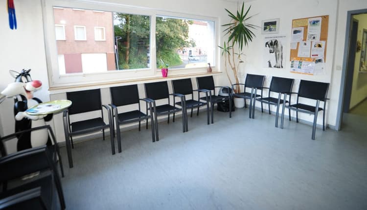 Vorschau von Kleintierpraxis Dr. med. vet. Andrea Kim