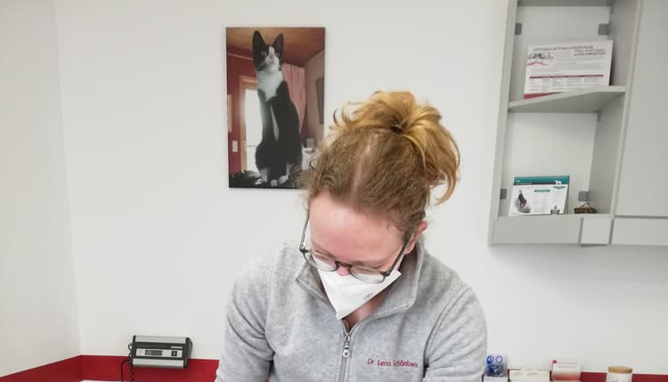 Vorschau von Tierarztpraxis für Chiropraktik Dr. Lena Schönbeck
