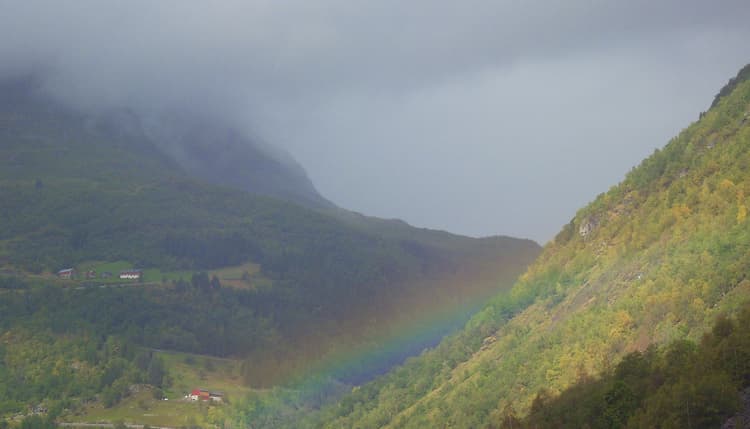 Vorschau von Der Bergtierarzt