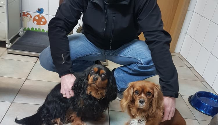 Vorschau von Dr.med.vet. Sonja Gräber