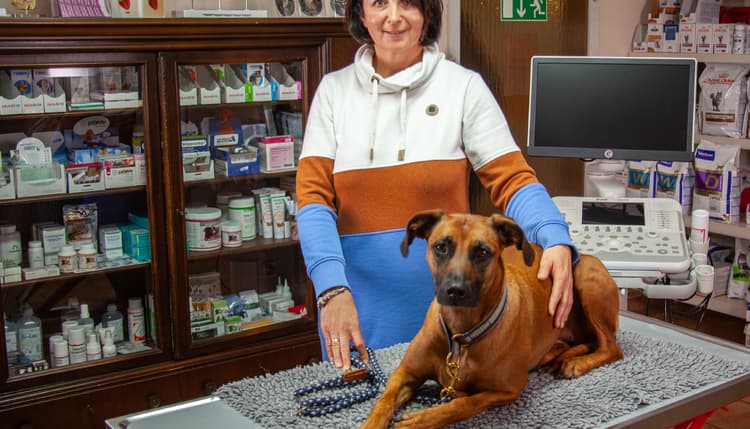 Vorschau von Dr.med.vet. Ulrike Bickelmann