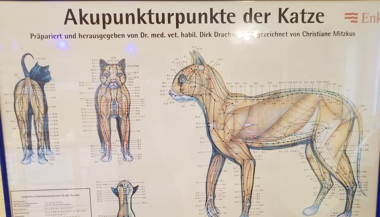 Vorschau von Stefanie Heide-Röller Tierärztin