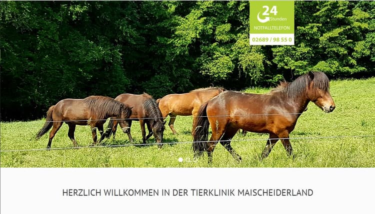 Vorschau von Pferdeklinik Maischeiderland GmbH