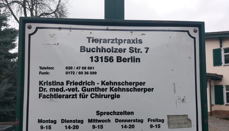 Vorschau von Kristina Friedrich-Kehnscherper