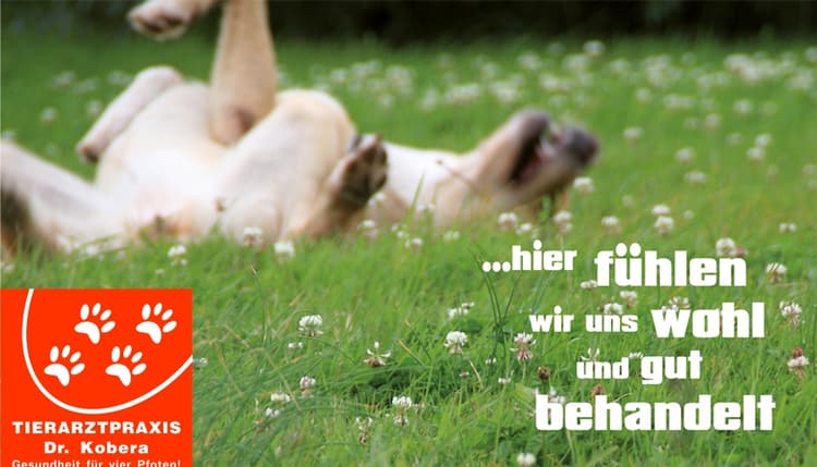 Vorschau von Tierarztpraxis Dr. med. vet. Ralph Kobera