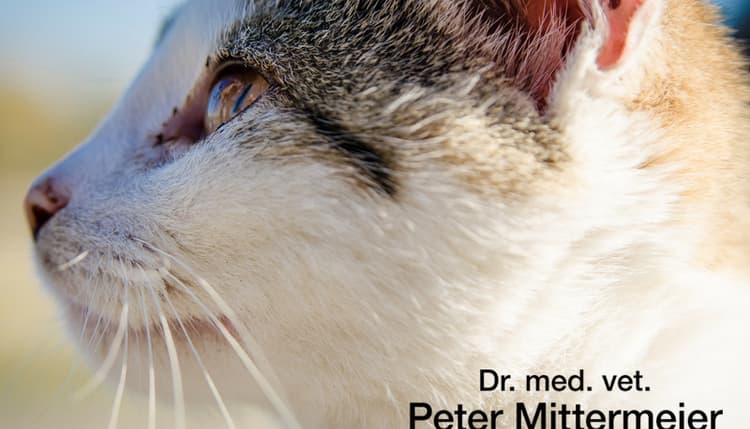 Vorschau von Dr. med. vet. Peter Mittermeier