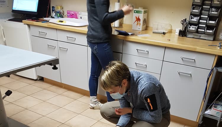 Vorschau von Dr.med.vet. Ina Spreckels Tierärztin