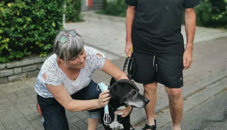 Vorschau von Tierarztpraxis Dr. Anne Zapf