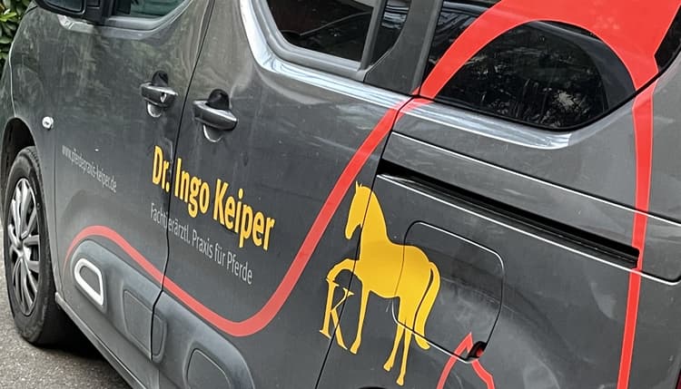 Vorschau von Dr med vet Ingo Keiper