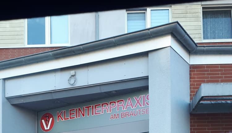 Vorschau von Kleintierpraxis Am Brautsee Marnie Obst