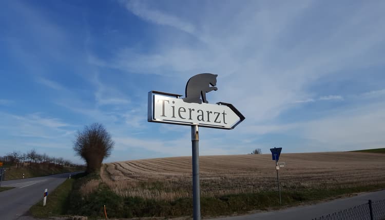 Vorschau von Tierarzt Dr. Anita Kotter