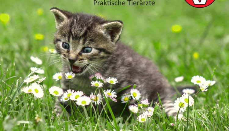 Vorschau von Dr. Andreas Scharlach / TA Florian Peis Tierarztpraxis Wartenberg