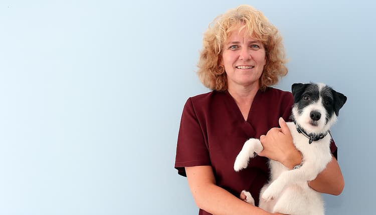 Vorschau von Kleintierpraxis Jutta Hofmann