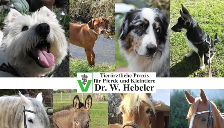 Vorschau von Wolf Günther Hebeler Tierarzt für Pferde und Kleintiere