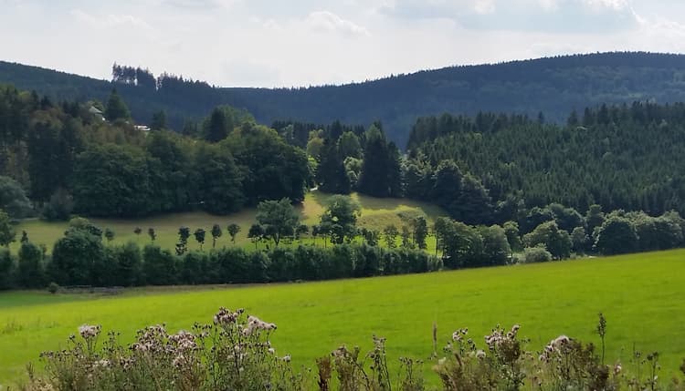 Vorschau von Tierärztliche Praxis für Groß- und Kleintiere Carolin Stolpe