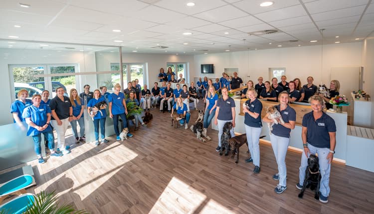 Vorschau von Kleintierzentrum Greven - Tierärzte IVC Evidensia GmbH