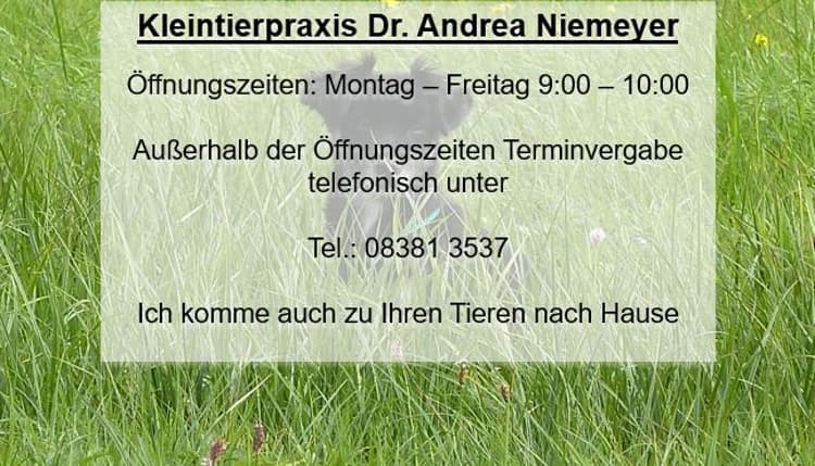 Vorschau von Dr. med. vet. Andrea Niemeyer