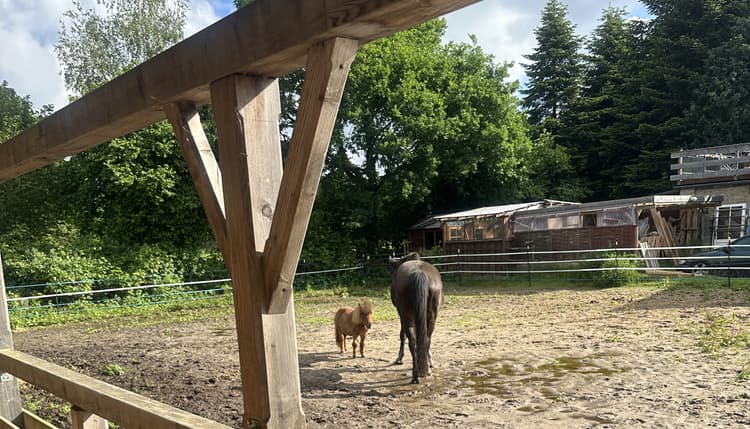 Vorschau von Tierärztliche Praxis für Pferde Gerret Bruhn
