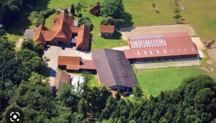 Vorschau von Zucht& Pensionspferdehaltung Hof Kuls/ Carsten Kuls
