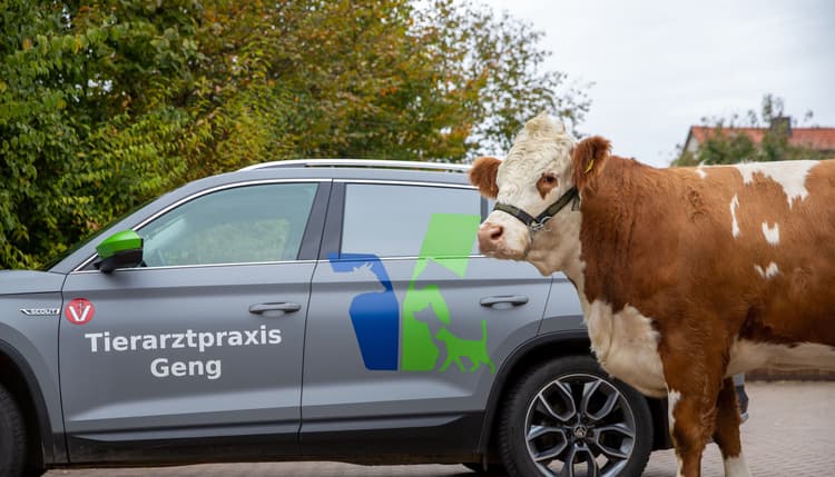 Vorschau von Tierarztpraxis Geng