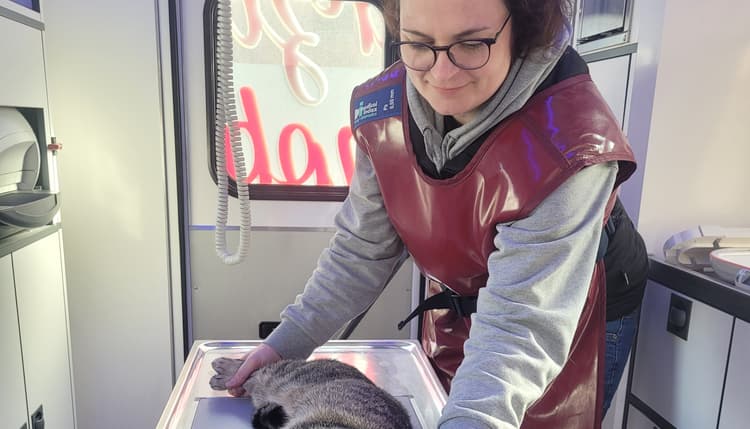 Vorschau von Tierärztin Mobil