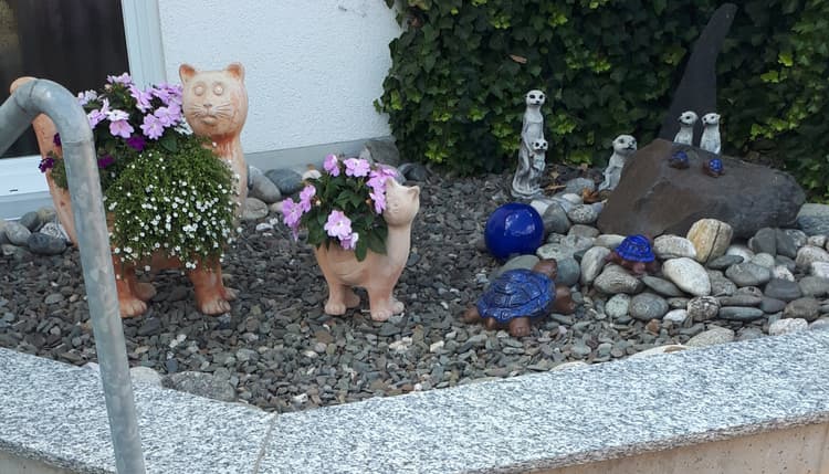 Vorschau von Tierarztpraxis DVM Christian Müller, Großheirath