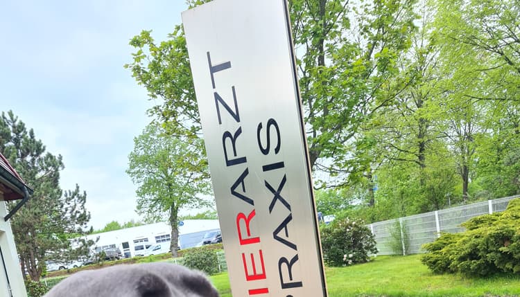 Vorschau von Tierarztpraxis Mohr