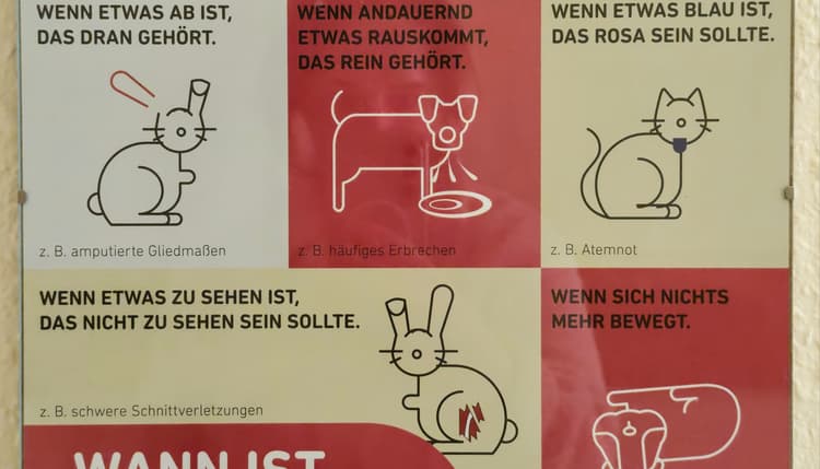 Vorschau von Kleintierpraxis Riedel Plauen