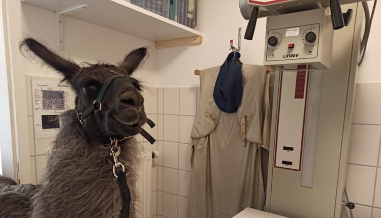 Vorschau von Tierarztpraxis Backnang, Sabrina Hohberg