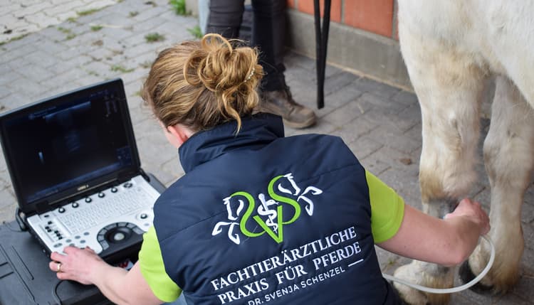 Vorschau von Fachtierärztliche Praxis für Pferde Dr. Schenzel