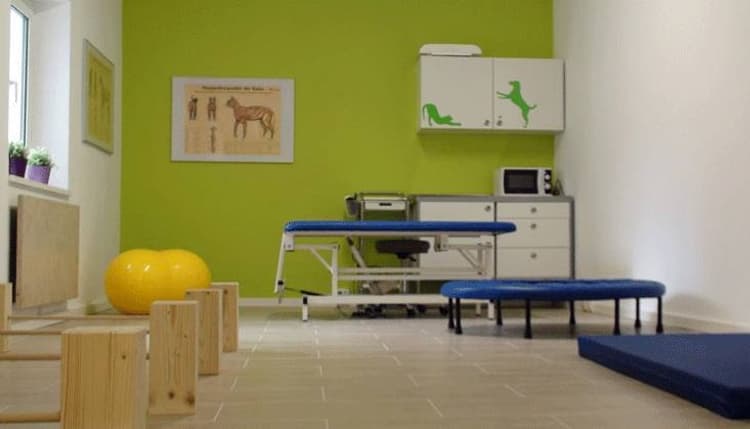 Vorschau von Tierarztpraxis Dr. Susanne Steenbeck - Physiotherapie, Osteopathie, Akupunktur