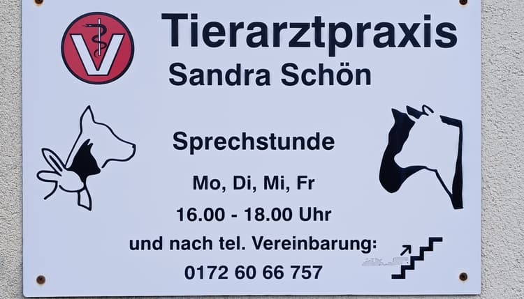 Vorschau von Sandra Schön