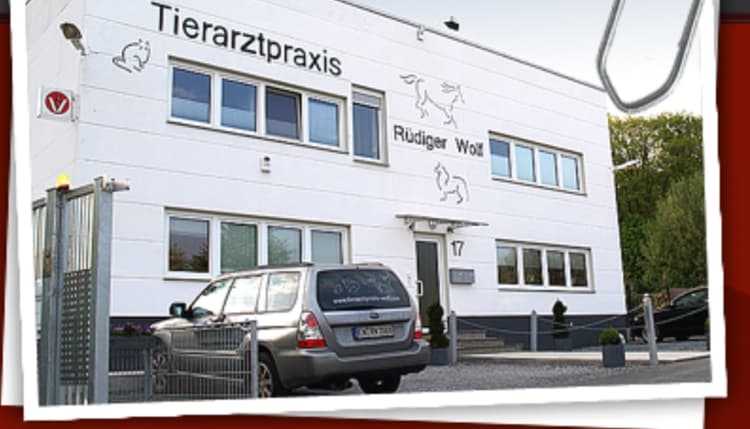 Vorschau von Rüdiger Wolf Tierarztpraxis