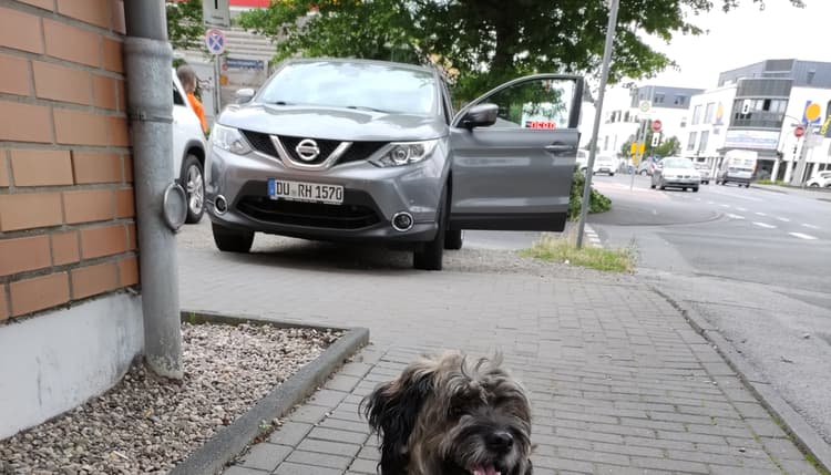 Vorschau von Dr. Gerd-Josef Verkühlen