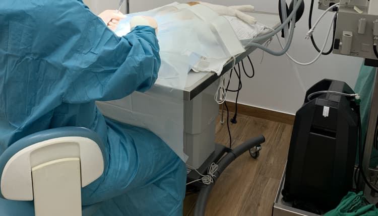 Vorschau von Tierärztliche Praxis Kati Rahn