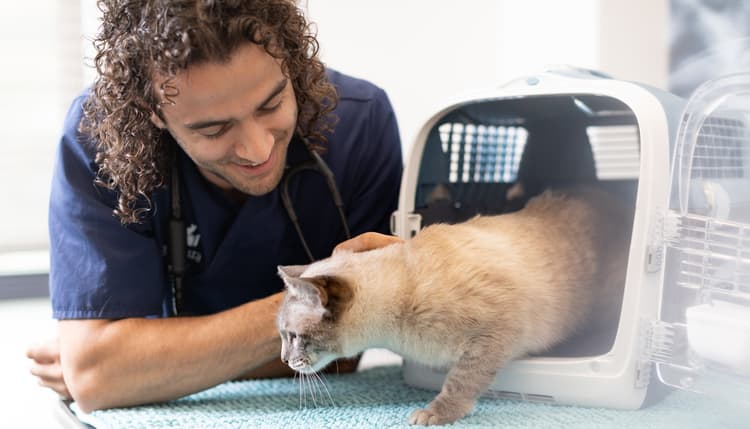 Vorschau von AniCura Tierklinik Trier