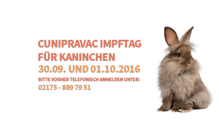 Vorschau von Tierarztpraxis Poststraße