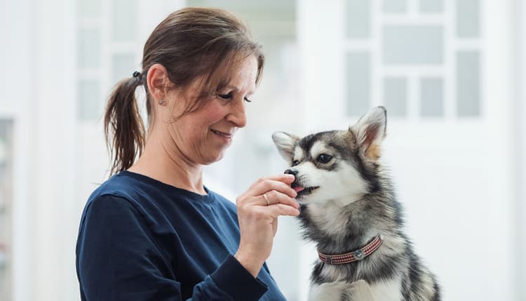 Vorschau von Tierklinik Fuhlsbüttel
