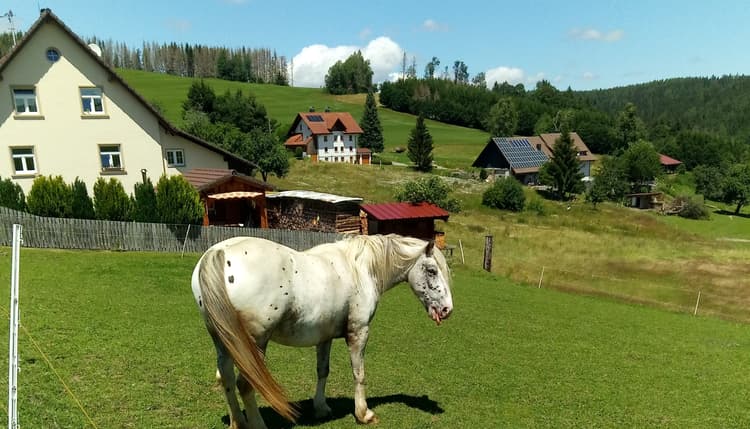 Vorschau von Tierarztpraxis Ühlingen C. Fels