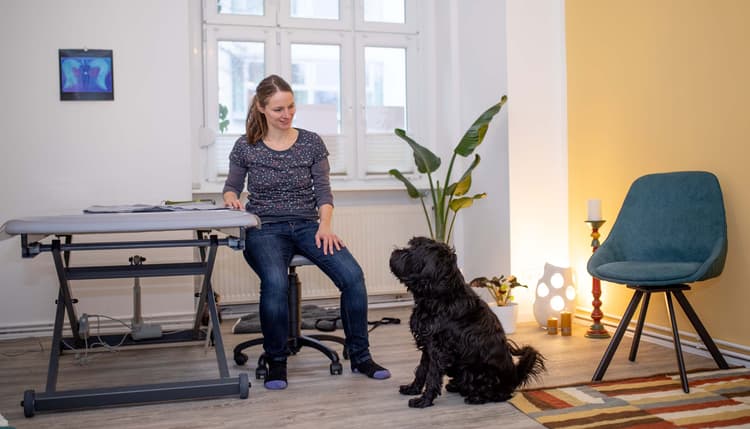 Vorschau von Osteopathie für Tiere Marion Hatting