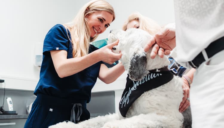 Vorschau von Tierarzt Besserer * Kleintierzentrum